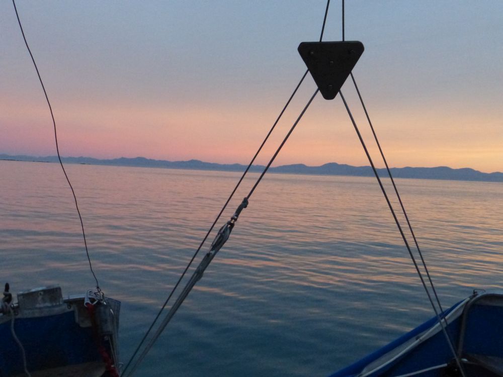 2015 Photo collection