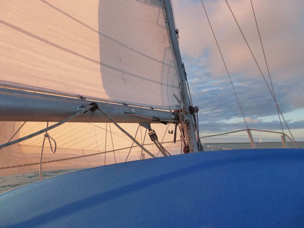 2015 Photo collection