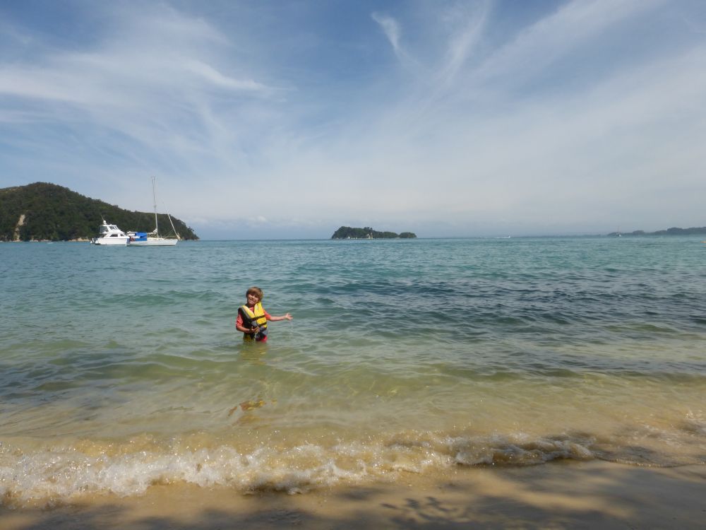 2015 Photo collection