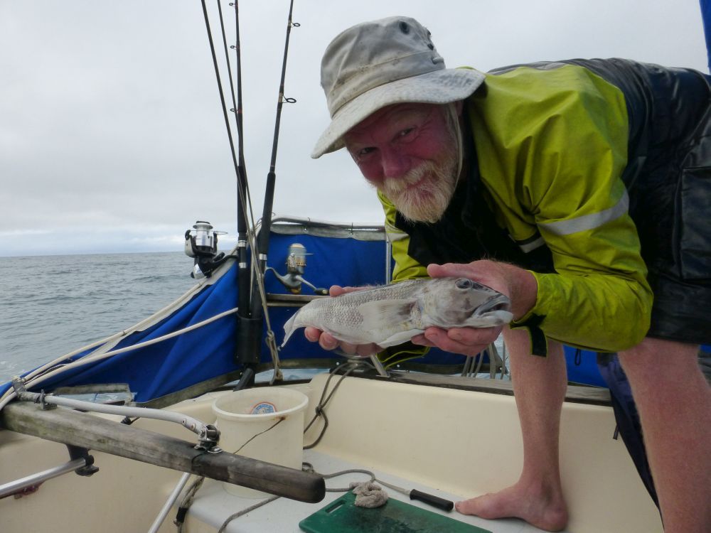 2015 Photo collection