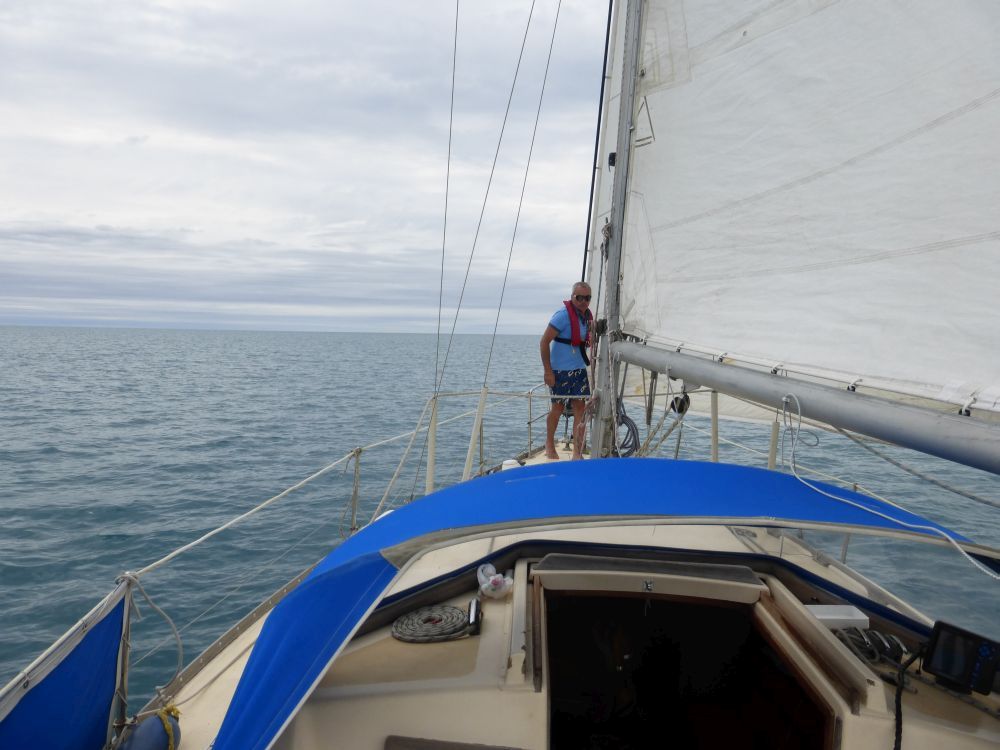 2015 Photo collection