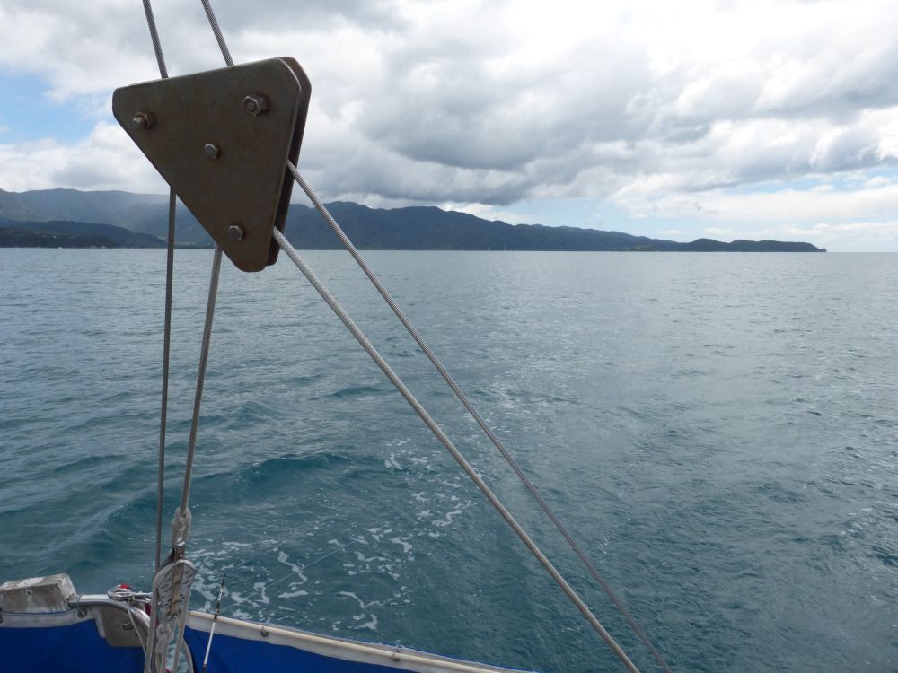 2015 Photo collection