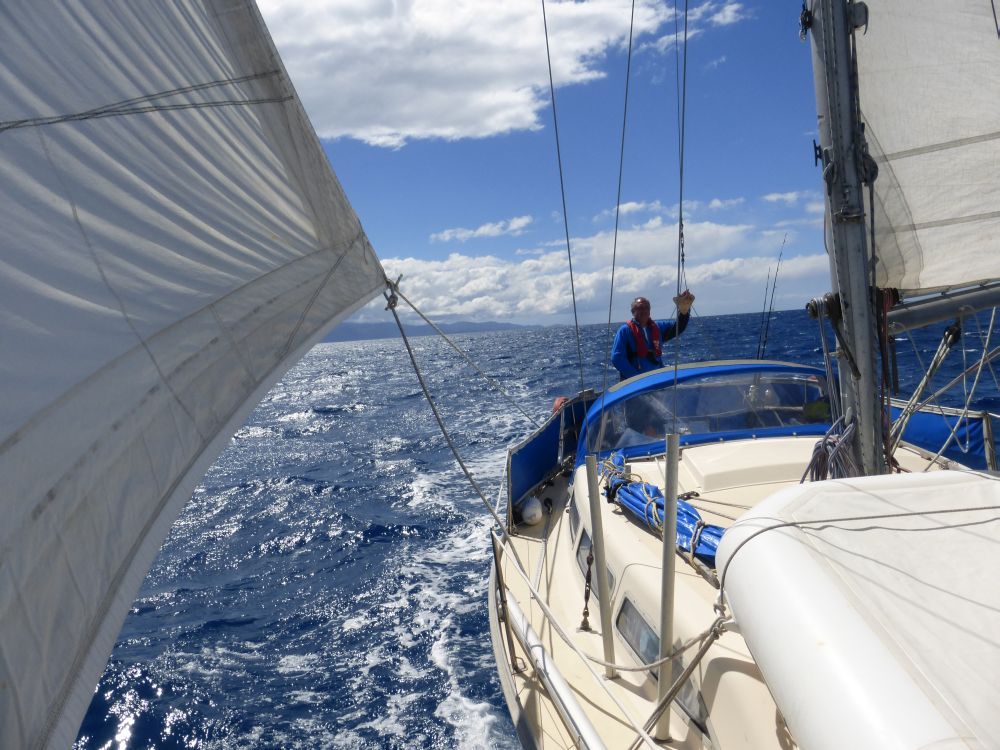 2015 Photo collection