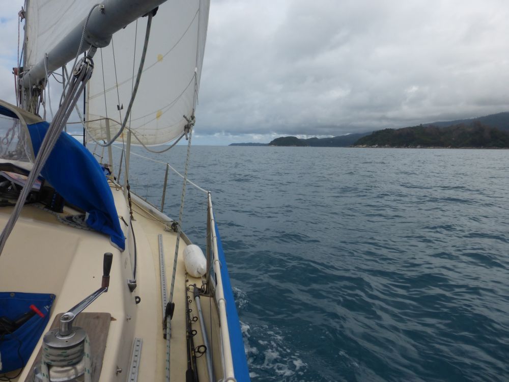 2015 Photo collection