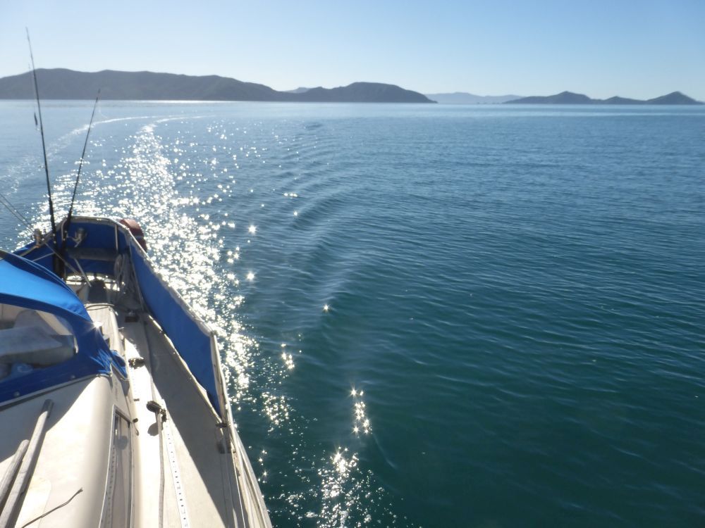 2015 Photo collection