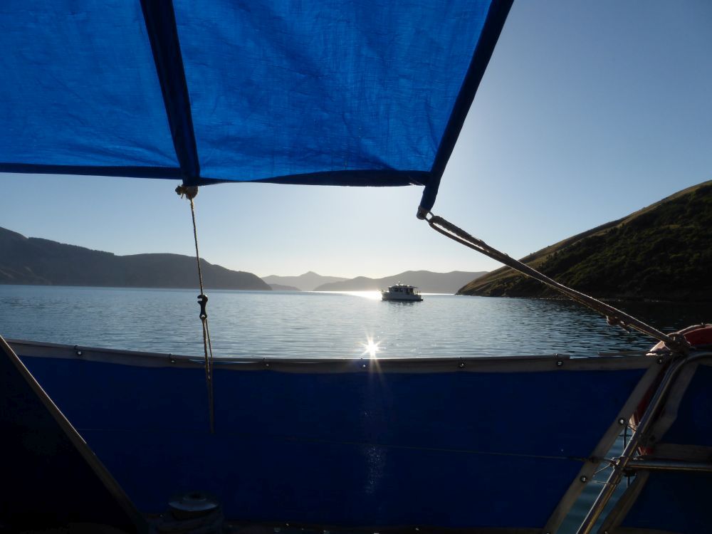 2015 Photo collection