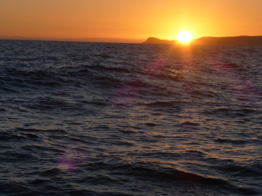 2015 Photo collection