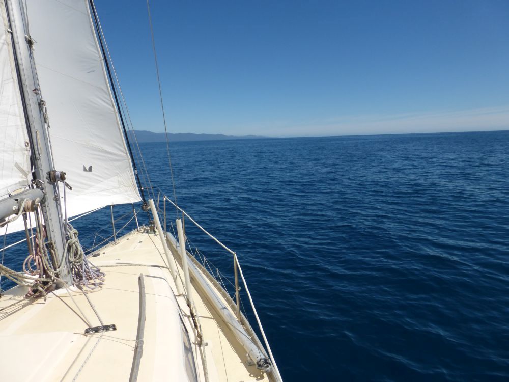 2015 Photo collection