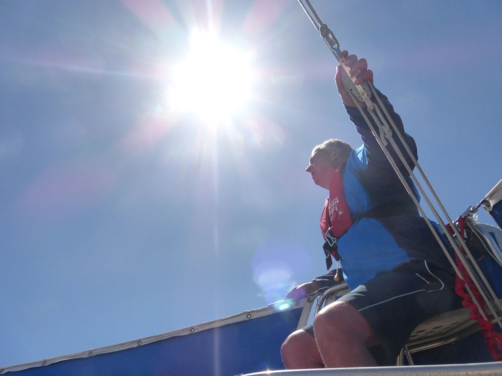 2015 Photo collection