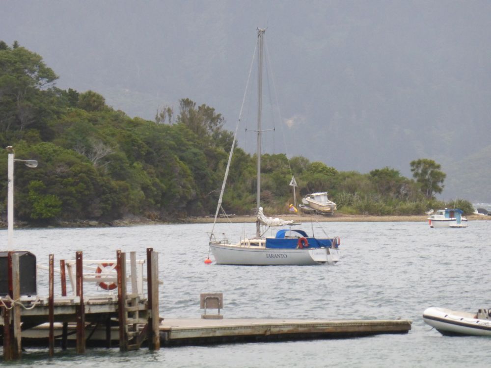 2015 Photo collection