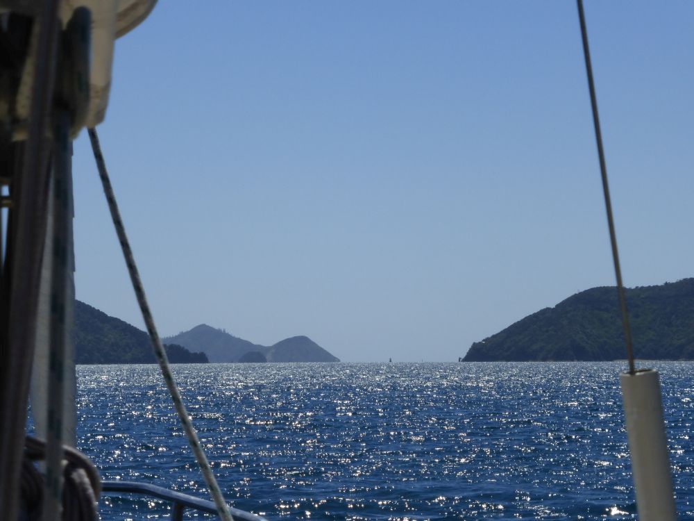 2015 Photo collection