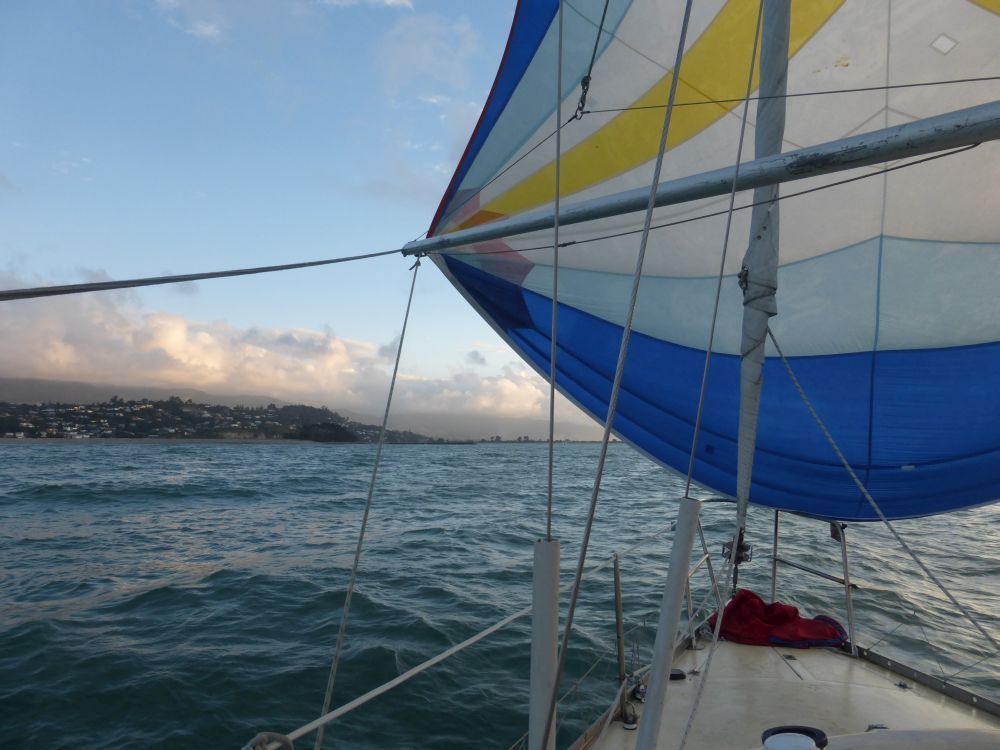 2015 Photo collection