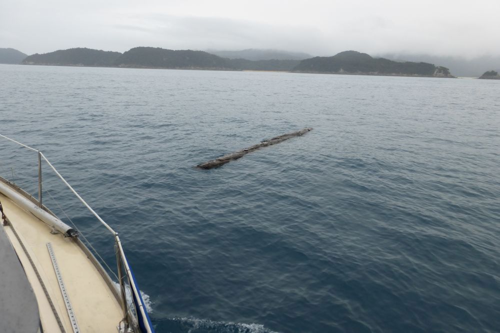 2016 Photo collection