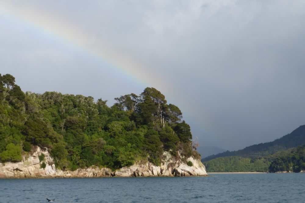 2016 Photo collection