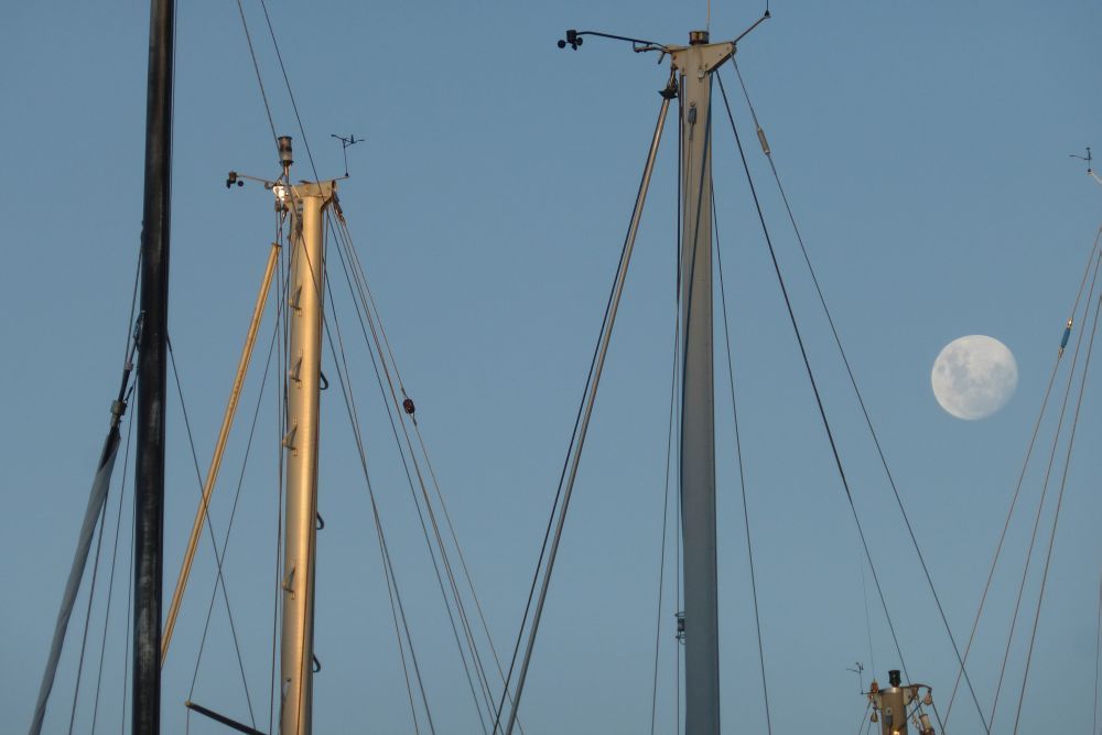 2016 Photo collection