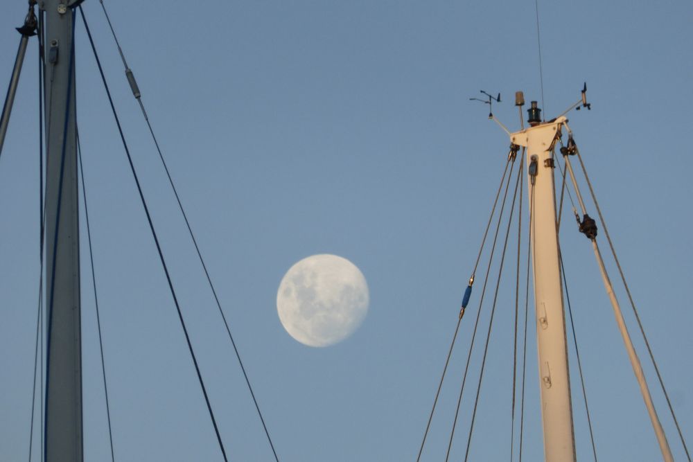 2016 Photo collection