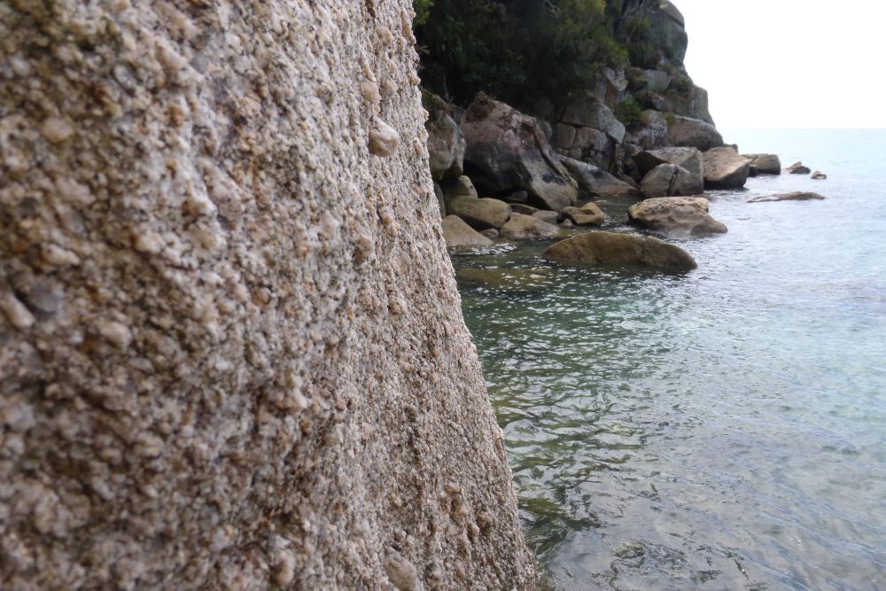 2016 Photo collection