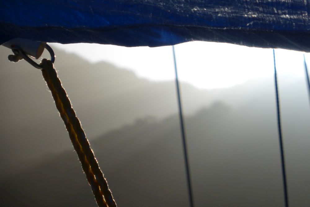 2016 Photo collection