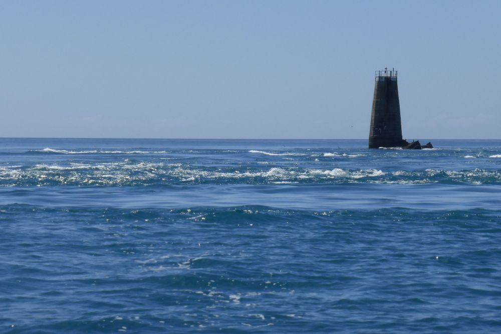 2016 Photo collection