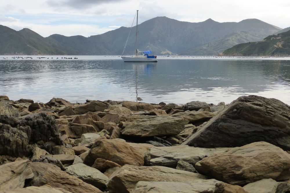 2016 Photo collection