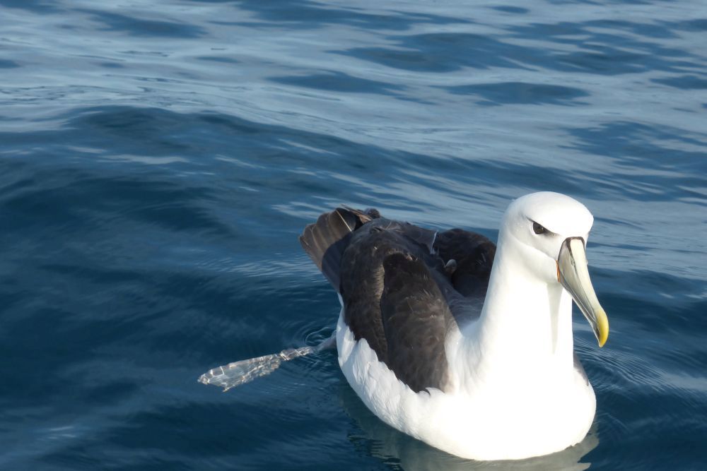 2016 Photo collection