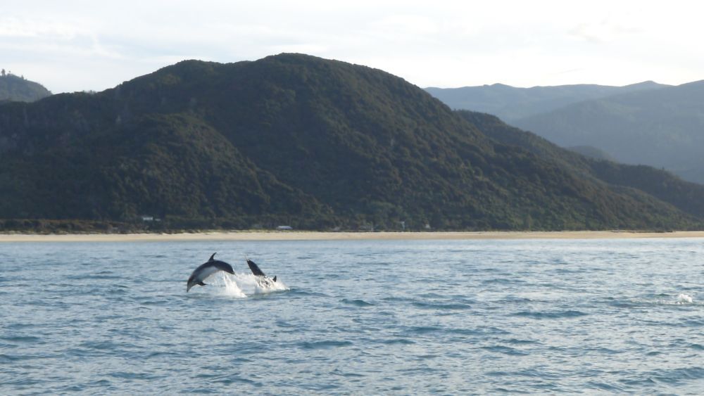 2016 Photo collection