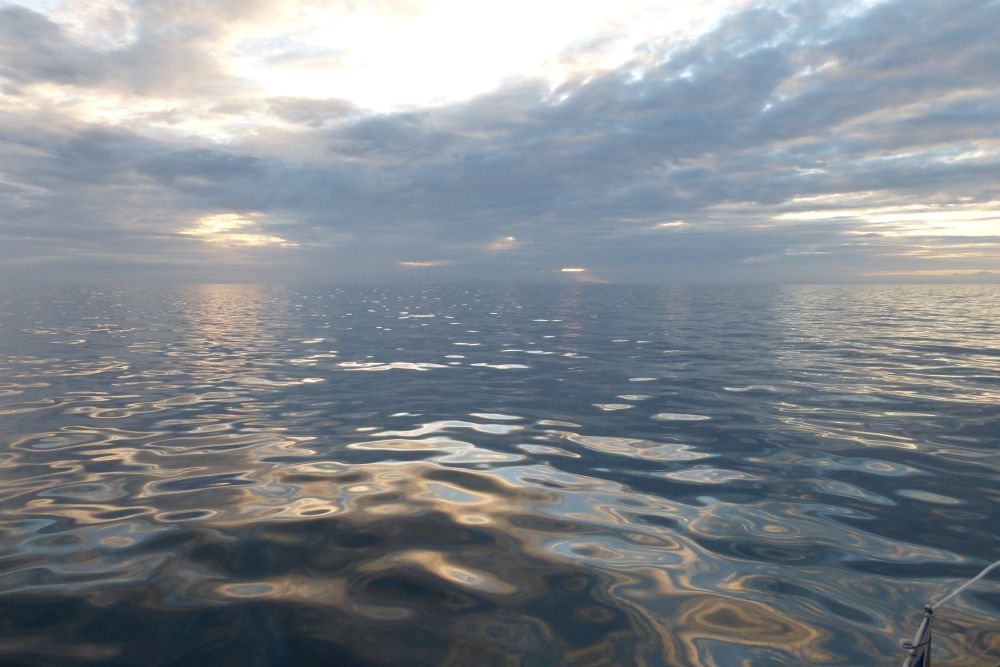 2016 Photo collection