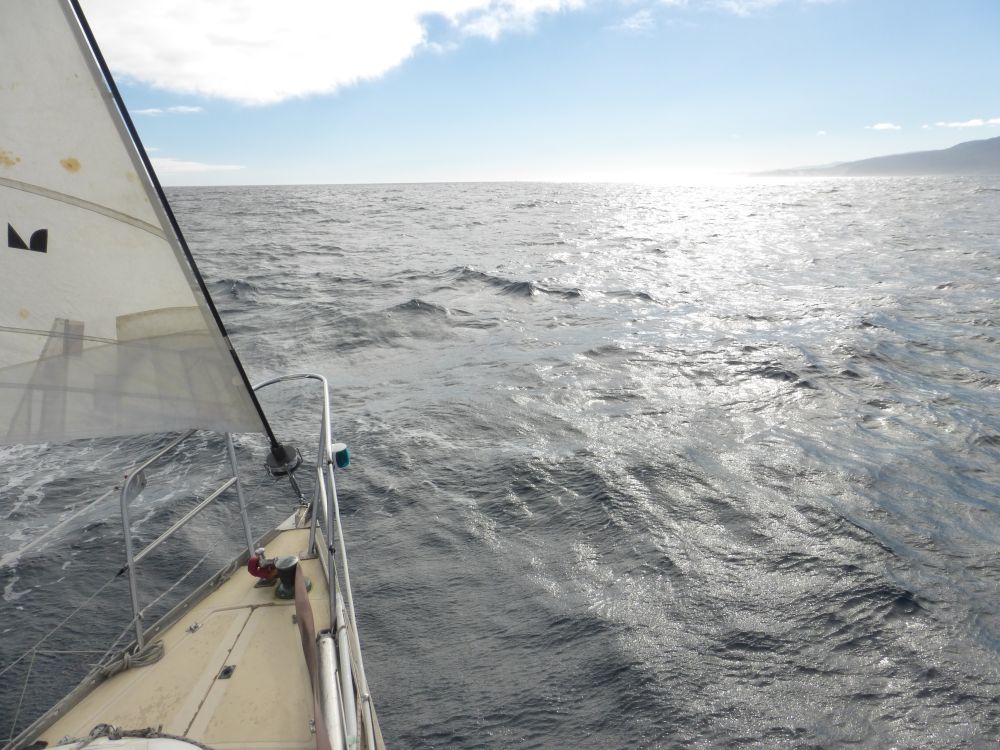 2017 Photo collection