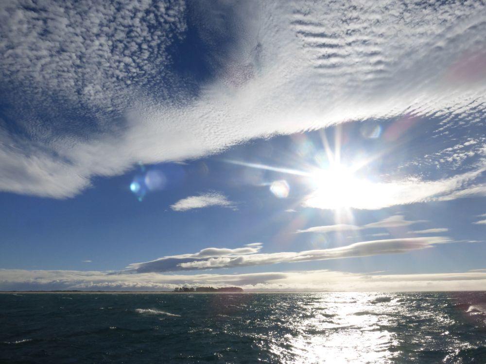 2017 Photo collection