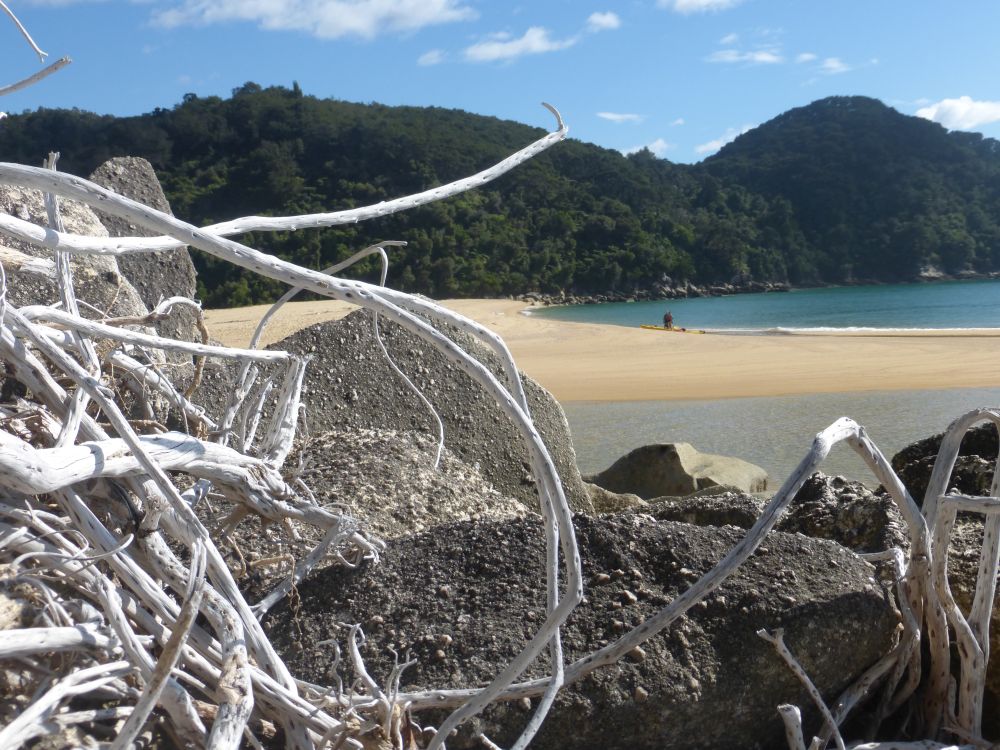 2017 Photo collection