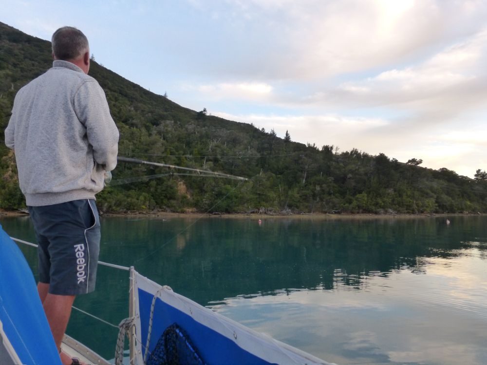 2017 Photo collection