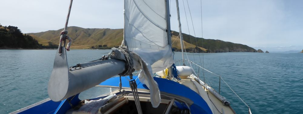 2017 Photo collection