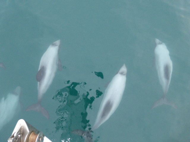 2017 Photo collection