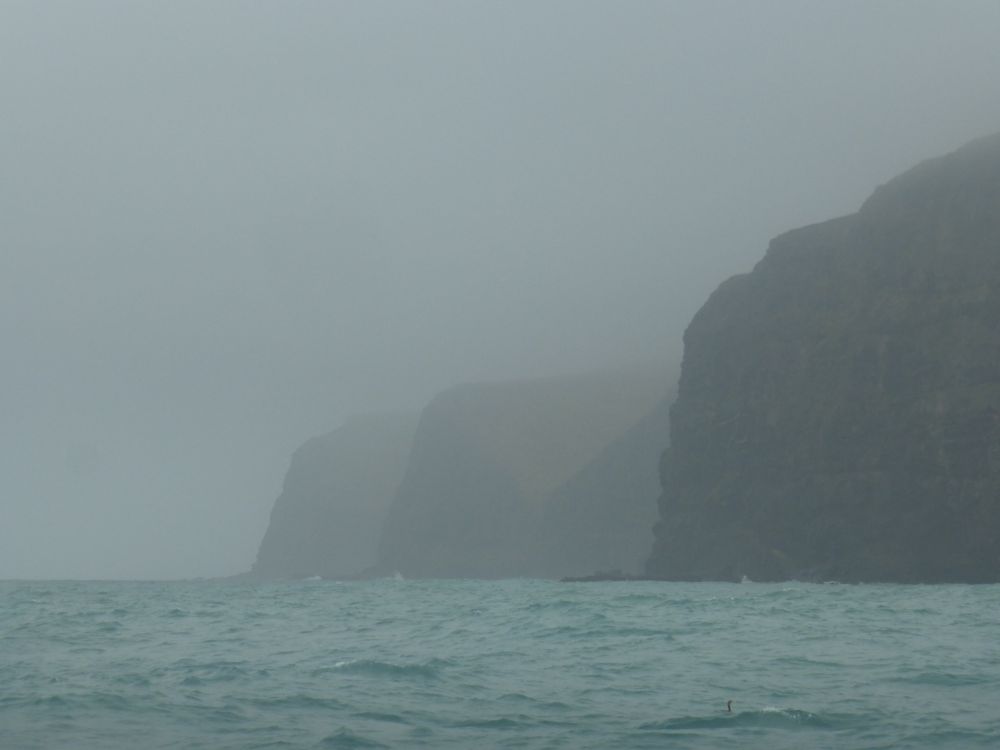 2017 Photo collection