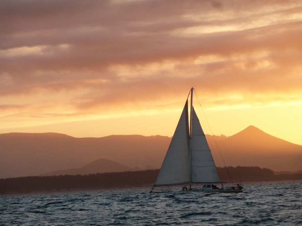 2017 Photo collection