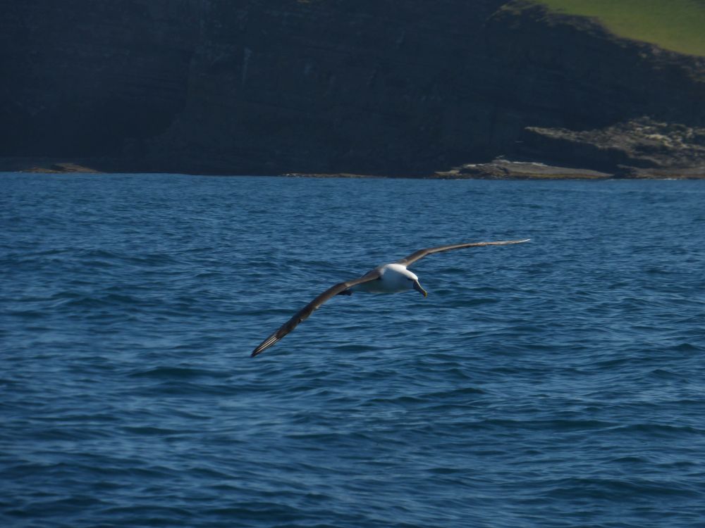 2017 Photo collection