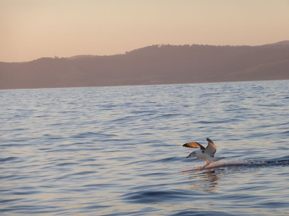 2017 Photo collection