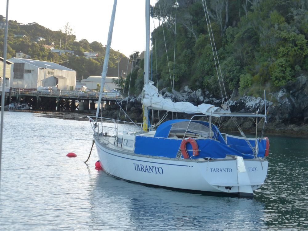 2017 Photo collection