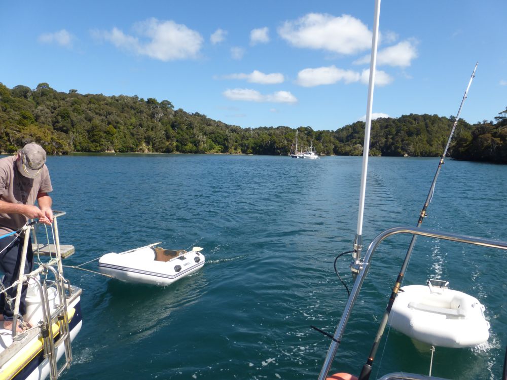 2017 Photo collection