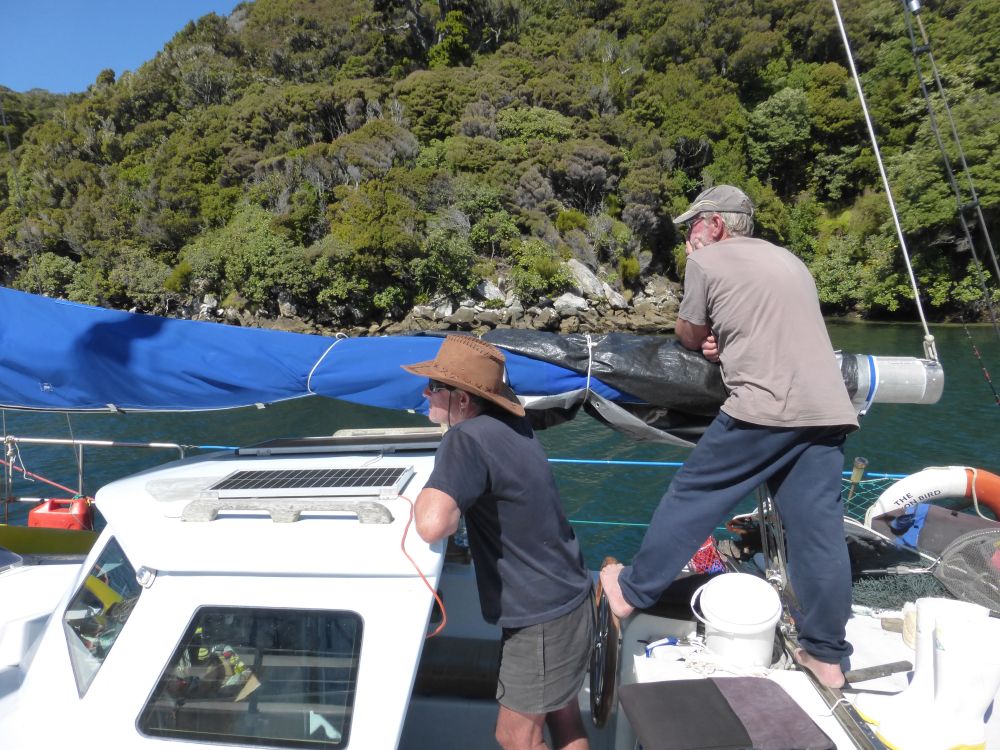 2017 Photo collection