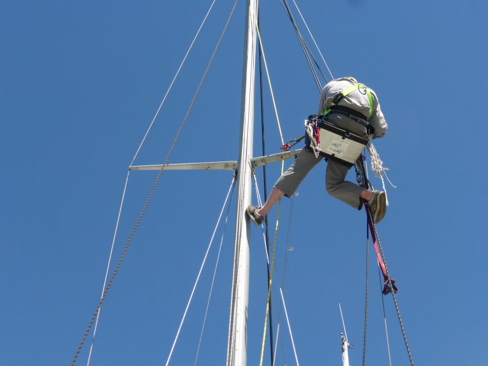 2017 Photo collection