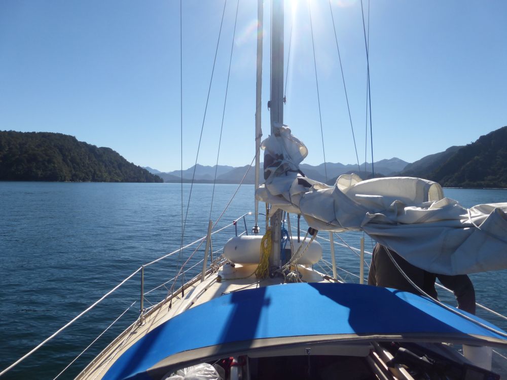 2017 Photo collection