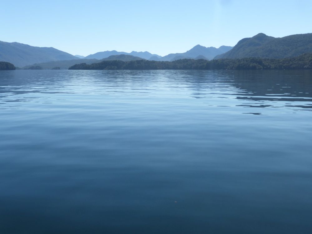 2017 Photo collection