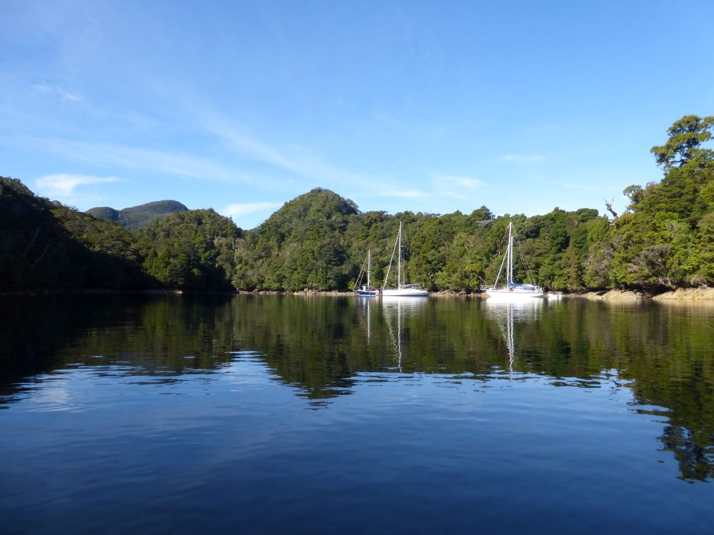 2017 Photo collection