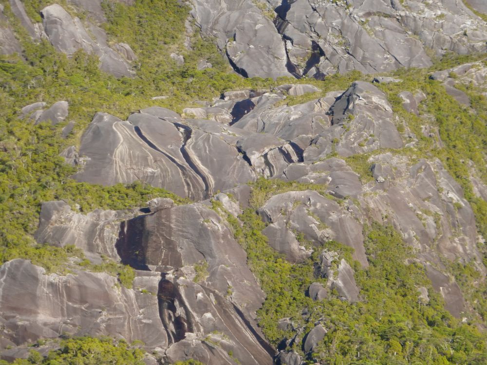 2017 Photo collection