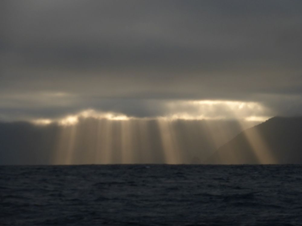 2017 Photo collection