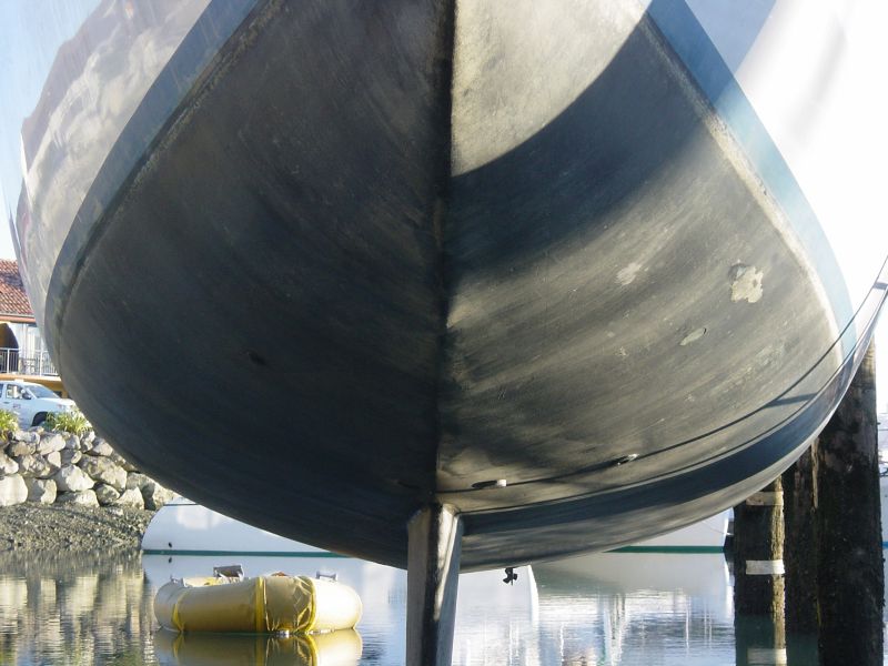 Earliest Photo collection